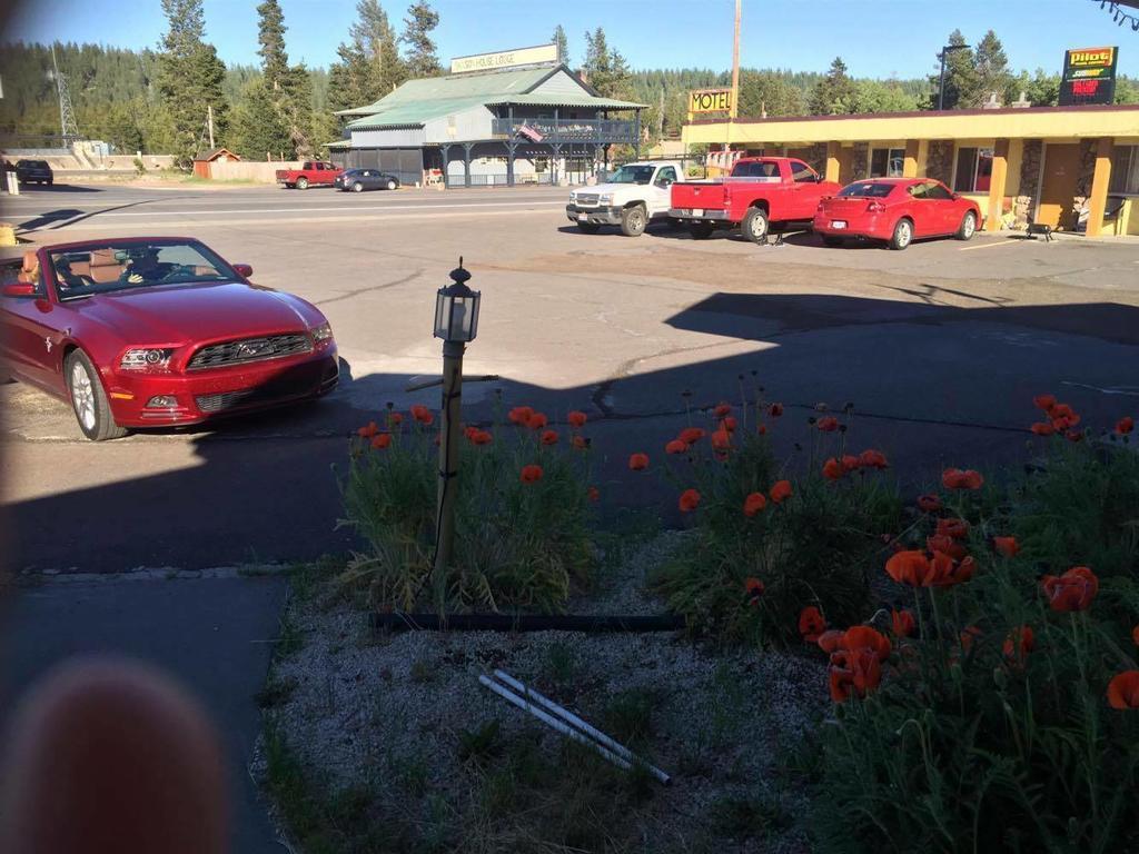 Motel Budget